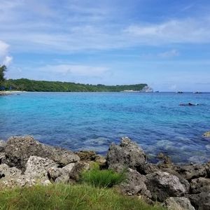 FOLLOW, LIKE & SHARE